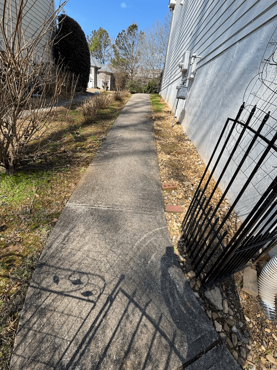 Narrow concrete path between a white house with a trellis and bare winter bushes.